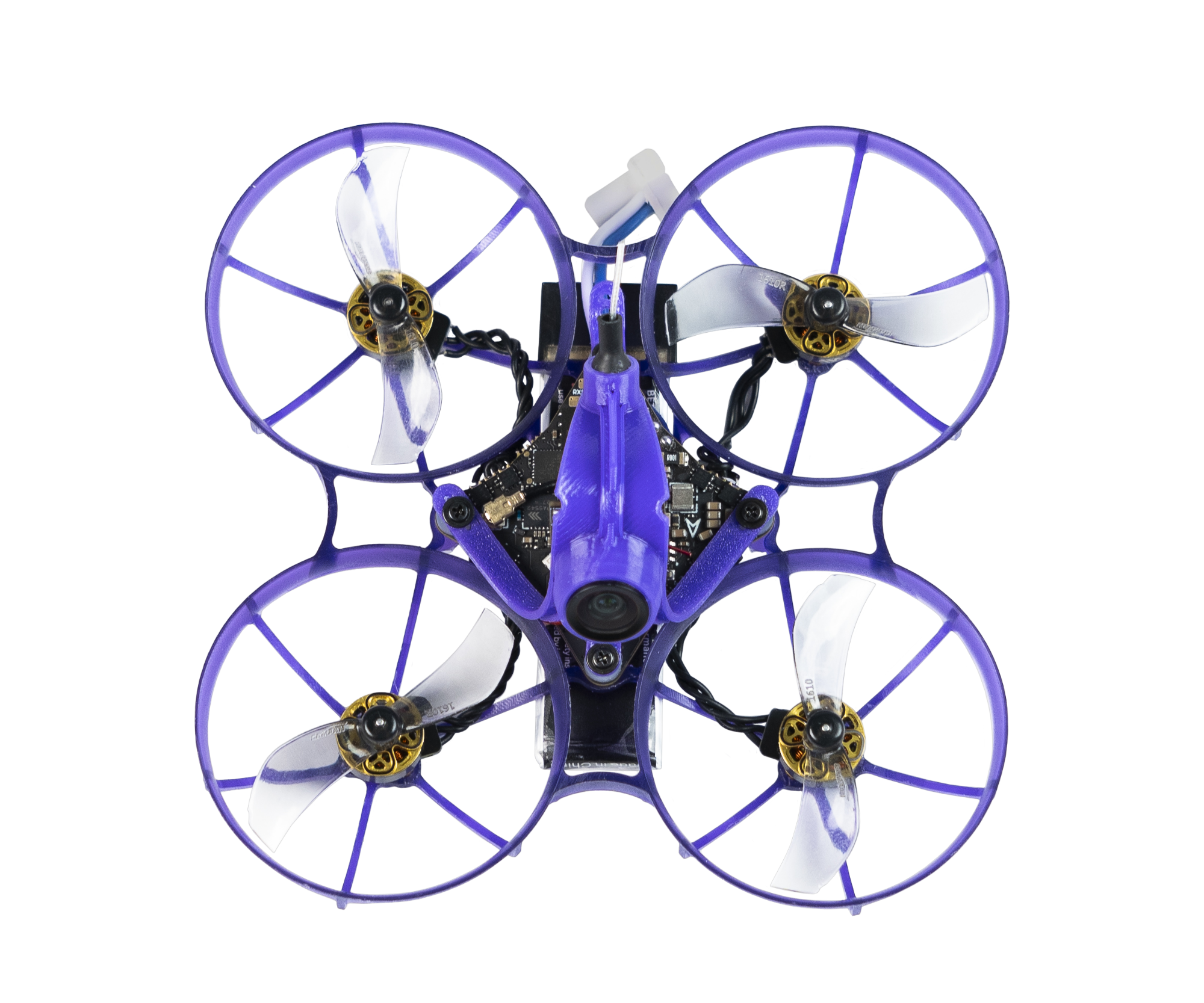Raider 75 — top view